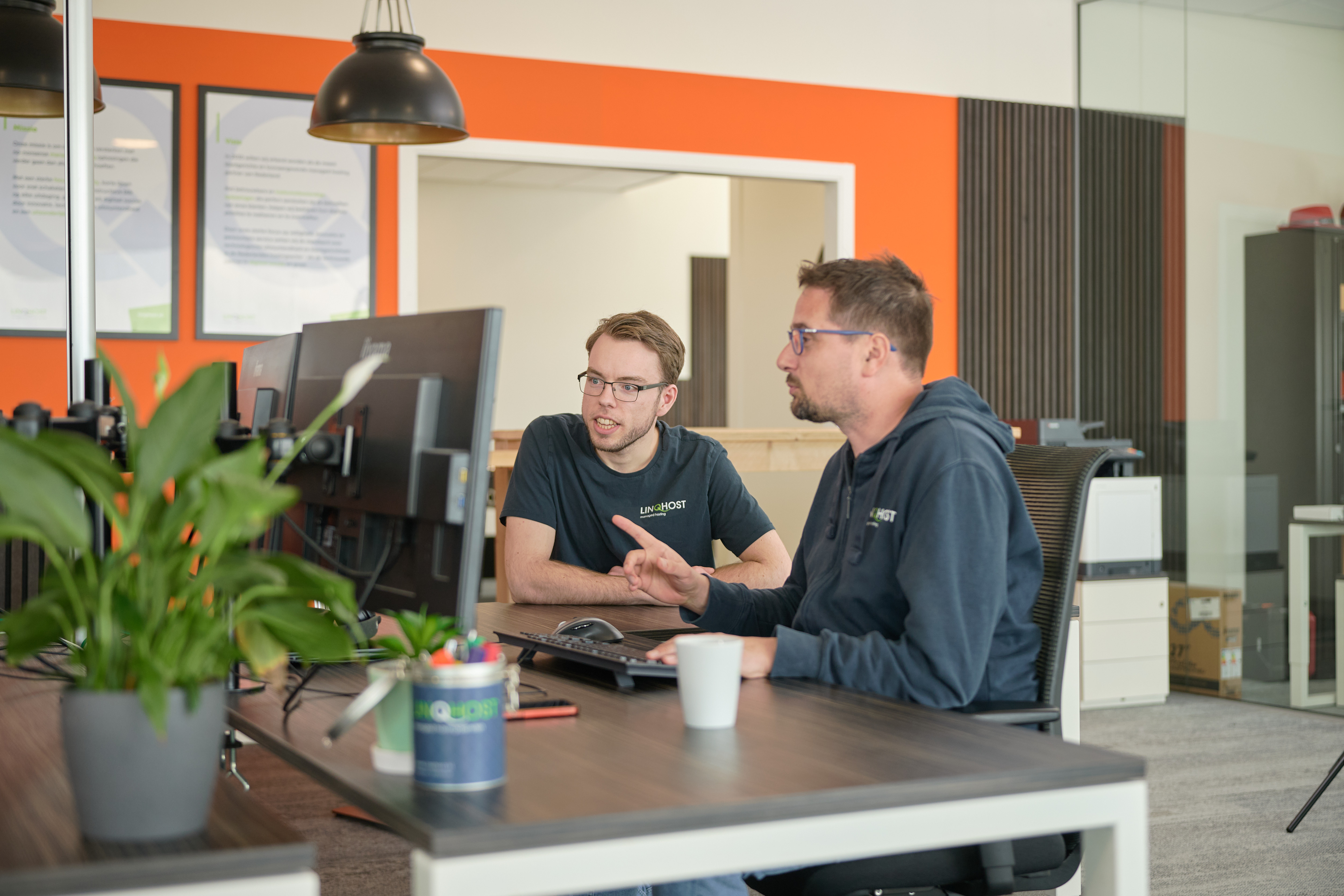 LinQhost hosting experts